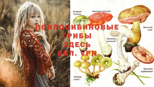 прущая мука Магадан