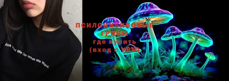 Псилоцибиновые грибы Magic Shrooms  сайты даркнета состав  Дедовск  МЕГА ссылки 