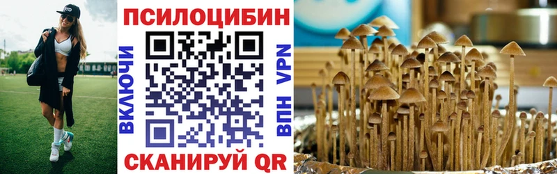Галлюциногенные грибы GOLDEN TEACHER  Дедовск 