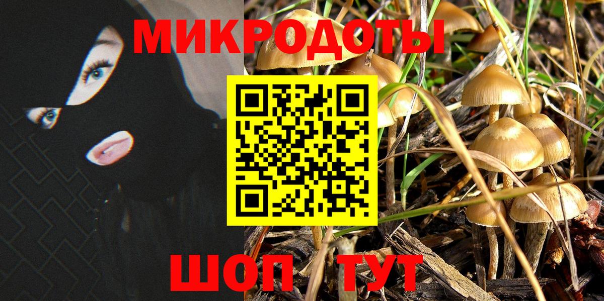 Дедовск  Галлюциногенные грибы Psilocybine cubensis  где продают наркотики  Вход с VPN 