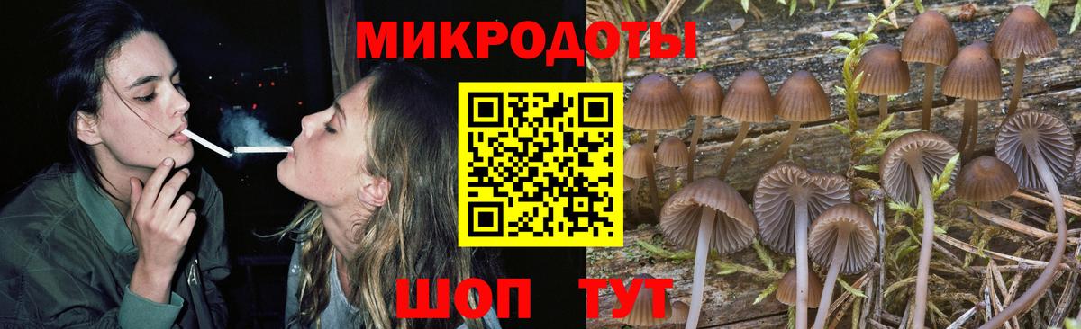 Галлюциногенные грибы Cubensis Дедовск