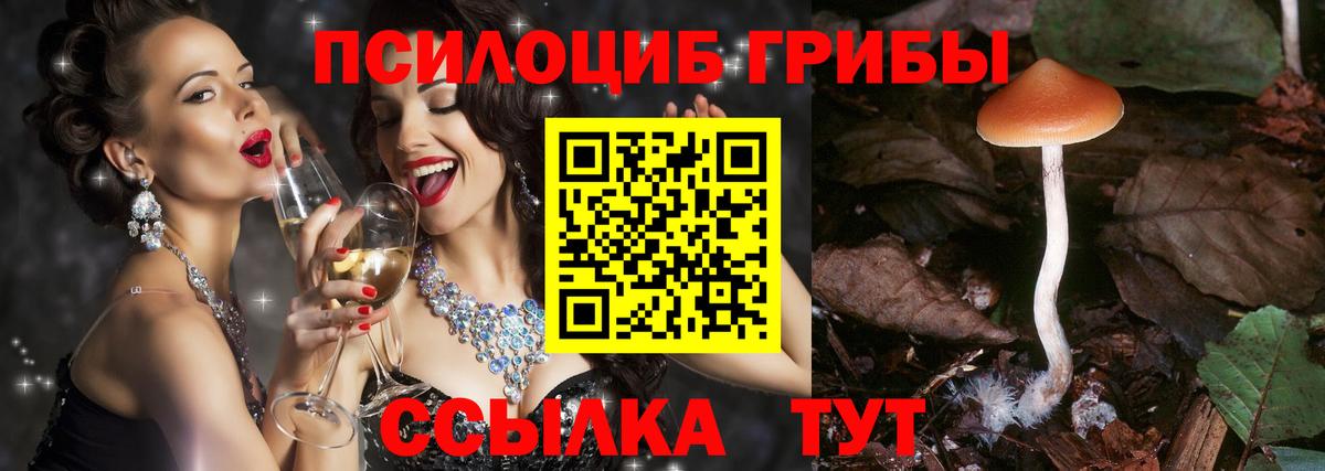 Псилоцибиновые грибы Psilocybine cubensis  цена   Дедовск 