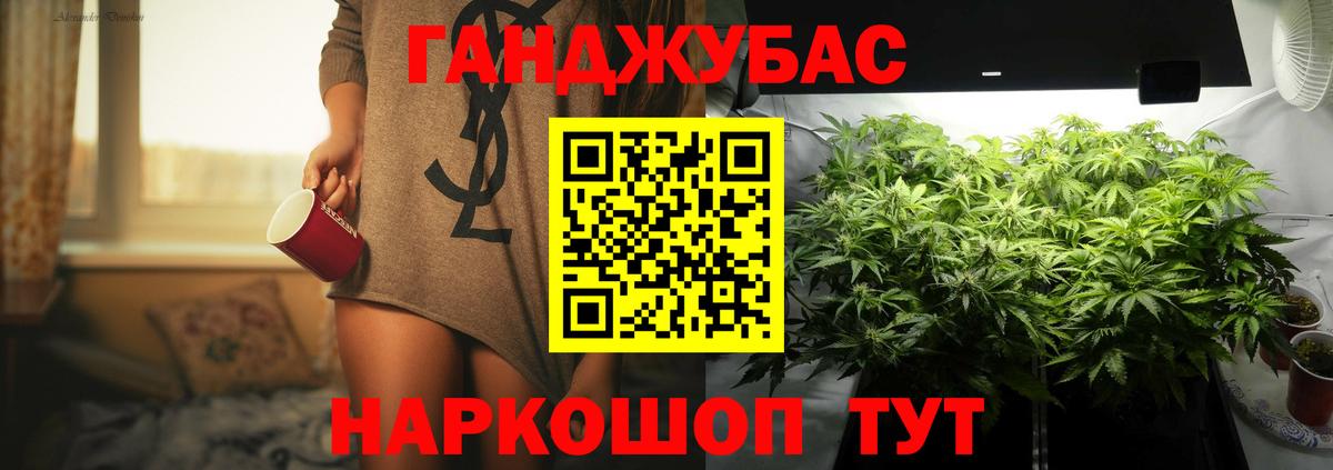 Каннабис план  МАРИХУАНА семена  Дедовск  Бошки Шишки SATIVA & INDICA 